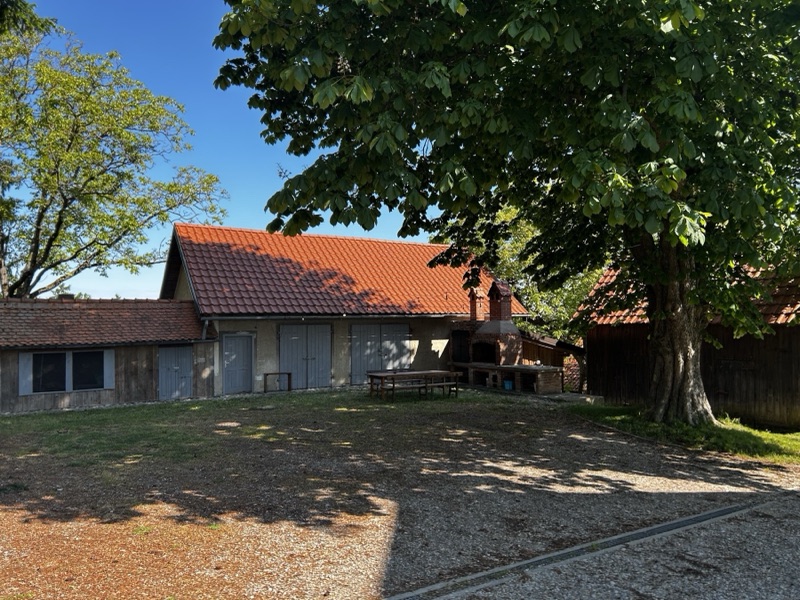 Outdoor brick grill and smoker under the chestnut tree