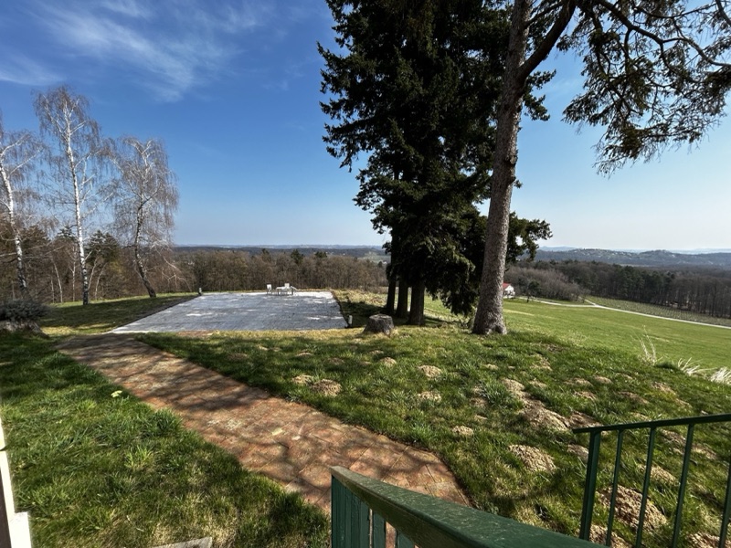 Pines on the hilltop