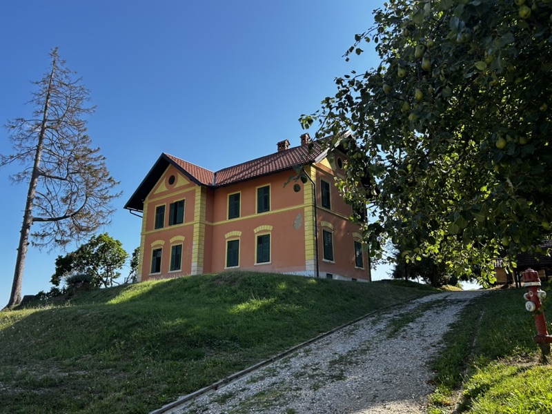 The Villa at Mestni Hill seen from the drive